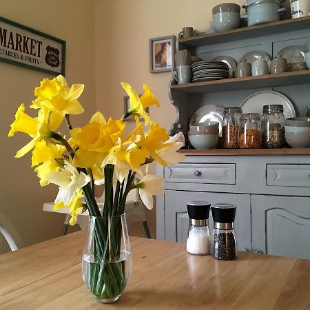 Lanercost Country B&B ブランプトン エクステリア 写真