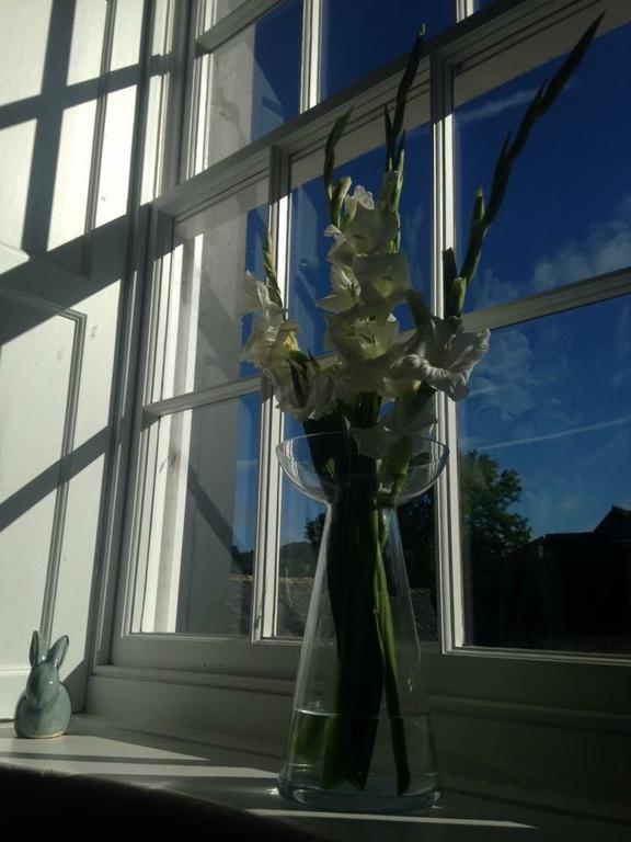 Lanercost Country B&B ブランプトン エクステリア 写真
